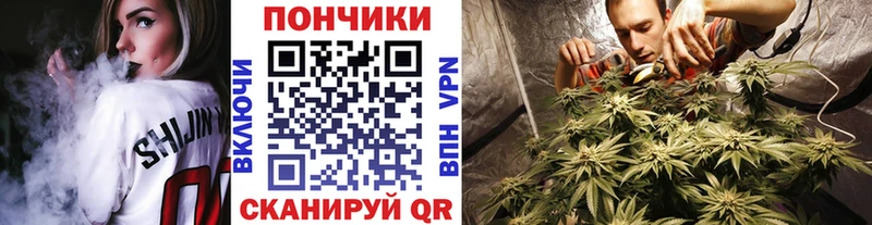 Бошки марихуана ГИДРОПОН  Бобров 